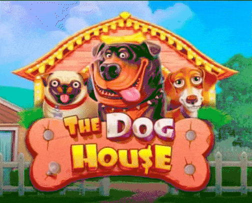 play The Dog House in cazeus casino